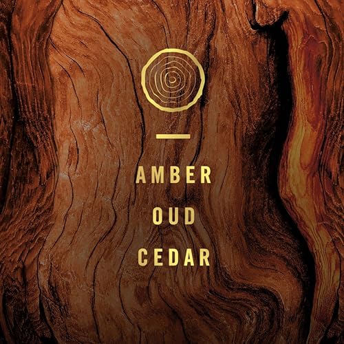 Febreze Plug In Scented Oil Refills Wood Scent Odor-Eliminating Plug Air Freshener 2 Refill